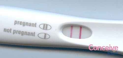 Conceive Plus user review: I loved this lubricant Conceive Plus UK Conceive Plus user review: I loved this lubricant Conceive Plus UK