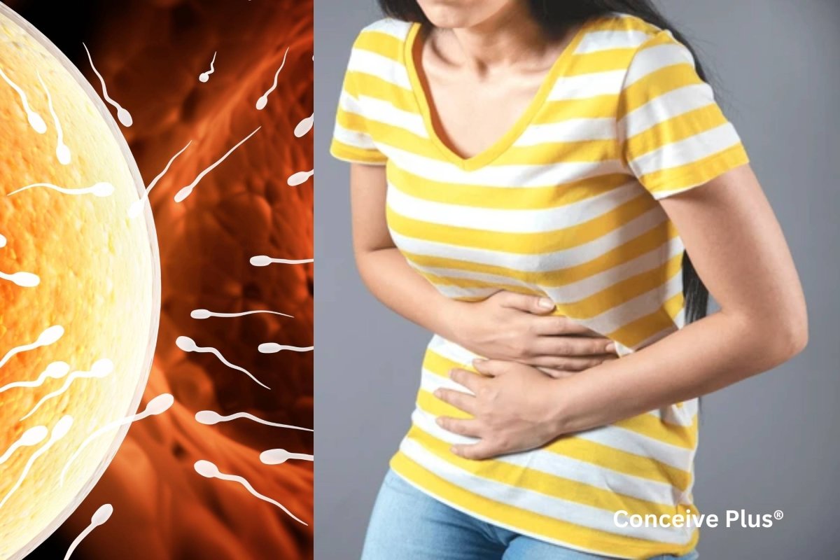 Ovulation Bloating: Why it Occurs & How to Relieve It - Conceive Plus® UK