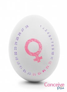 Cervical Fluid Types and Role in Reproduction and Fertility - Conceive Plus® UK