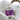 The Two-Week Wait: A Complete Survival Guide for the Luteal Phase in 2026 - Conceive Plus® UK