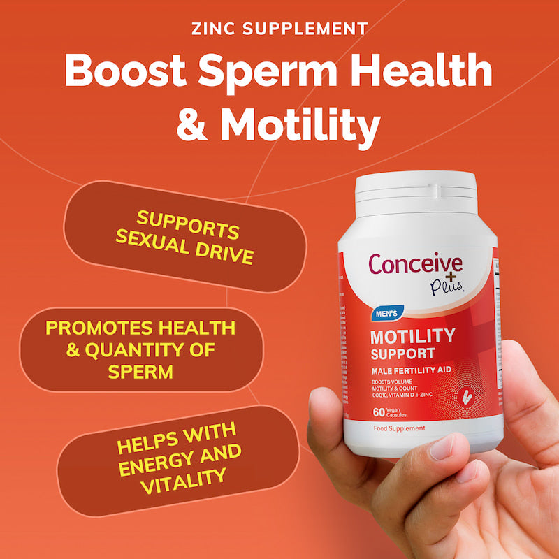 Motility Bundle