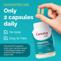 Prenatal - Female fertility vitamins - Conceive Plus® UK