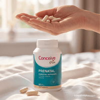 Prenatal with DHA & Folic Acid - Female fertility vitamins - Conceive Plus® UK
